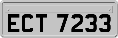 ECT7233
