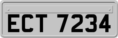 ECT7234