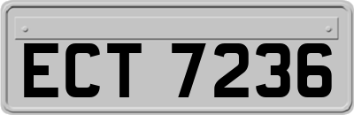 ECT7236