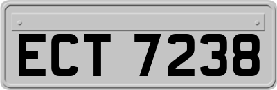 ECT7238