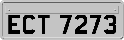 ECT7273