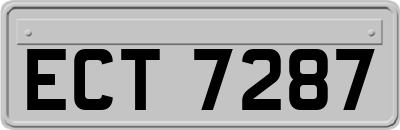 ECT7287