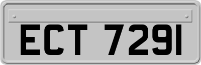 ECT7291