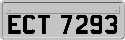 ECT7293