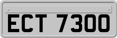 ECT7300