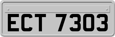 ECT7303