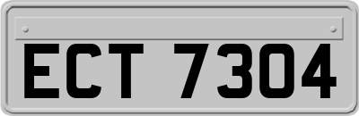 ECT7304