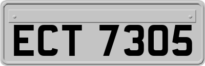 ECT7305