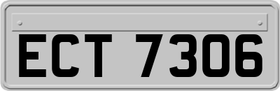 ECT7306