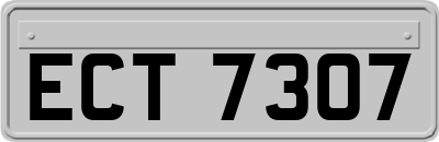 ECT7307
