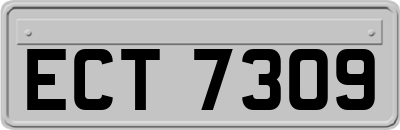 ECT7309