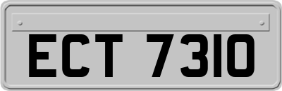 ECT7310