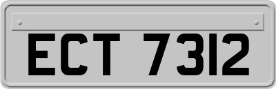 ECT7312