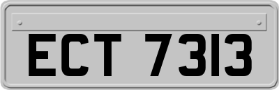 ECT7313