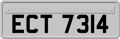 ECT7314