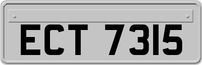 ECT7315