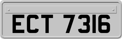 ECT7316