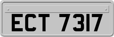 ECT7317