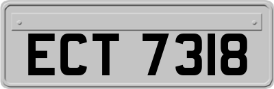 ECT7318