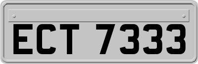ECT7333