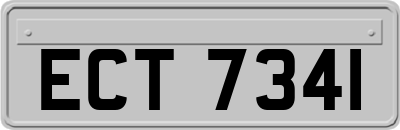 ECT7341