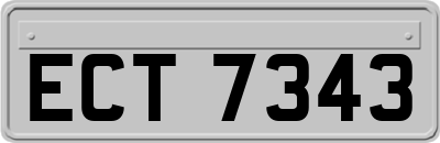 ECT7343