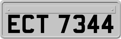 ECT7344