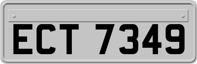 ECT7349