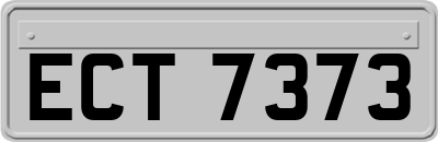 ECT7373