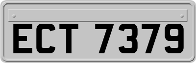 ECT7379