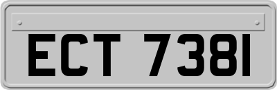 ECT7381