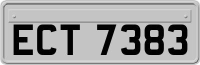 ECT7383