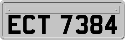 ECT7384