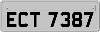 ECT7387