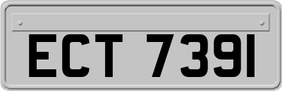 ECT7391
