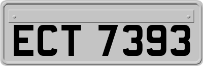 ECT7393