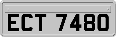 ECT7480