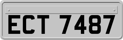 ECT7487