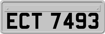 ECT7493