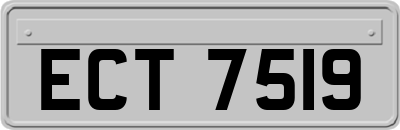 ECT7519