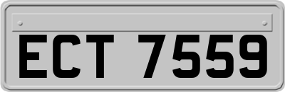 ECT7559