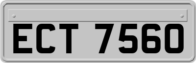 ECT7560