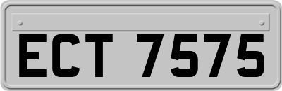 ECT7575