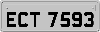 ECT7593