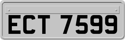 ECT7599