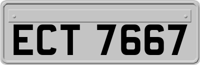 ECT7667