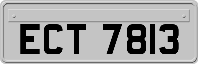 ECT7813