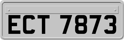 ECT7873
