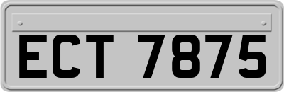 ECT7875