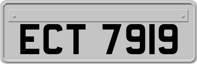ECT7919